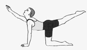 强直患者你知道每天坚持做AS体操吗 强直患者你知道每天坚持做AS体操吗