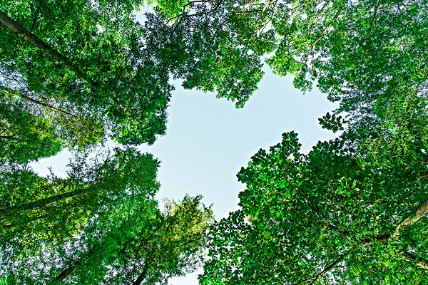 ǿֱרұʾǿֱԼ׵ķ뻷Ѳ˹ϵ