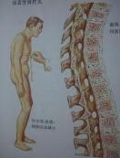 ǿֱҽԺרҽܣǿֱΣǧҪӣ