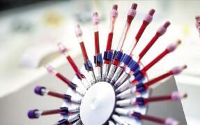 ǿǿֱԼףǲǲѪϳˣ