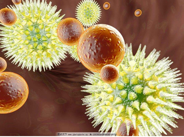 ǿֱԼ׻ߴеķ׿װ׸˾ʲô