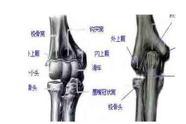 ǿֱЩٴ֢״ǿ߹ʲô