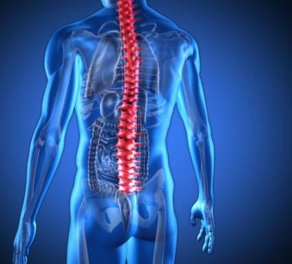 ǿֱԼײʲôǿֱԼ׵ƷЩ