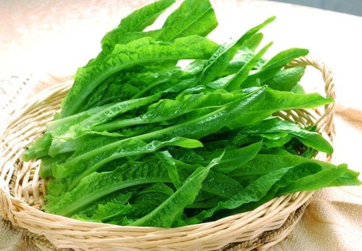 ǿֱԼ׻ڳ̣Ⱦ𣿴רѣԤҪ