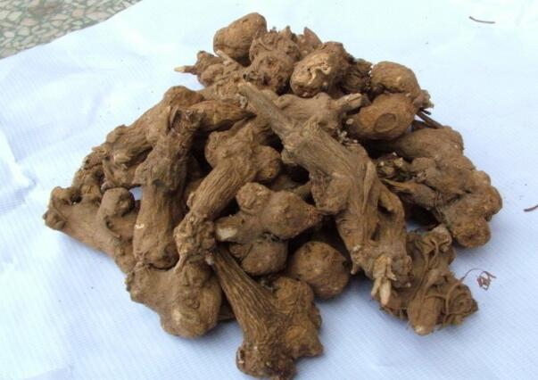 ҽʪڱǿֱԼҩʲô˽