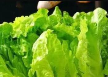 ǿֱԼע?רҶ˵ֹ̬Ҫ