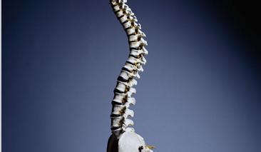 ǿֱԼ׵׿ʲôƣǿֱԼ׵Σм