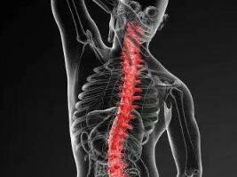 强直性脊柱炎的免疫因素分别是什么 强直性脊柱炎的免疫因素分别是什么.jpg